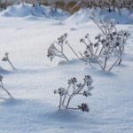 18 февраля 2026