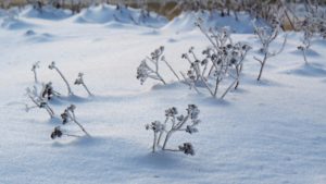 18 февраля 2026