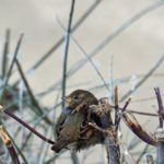 10 февраля 2026