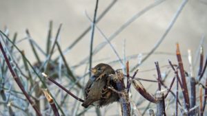 10 февраля 2026