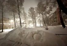 Вице-губернатор Рязанской области Артем Бранов поручил администрации областного центра увеличить объём вывоза снега