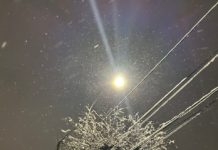 Завтра в Рязанской области вновь ожидается выпадение снега