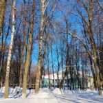 В Рязанскую область возвращаются морозы