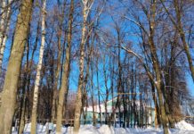 В Рязанскую область возвращаются морозы