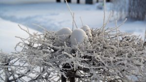 6 февраля 2026