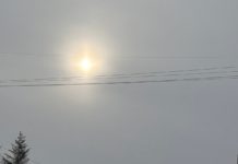 В Рязани продолжается мониторинг качества атмосферного воздуха