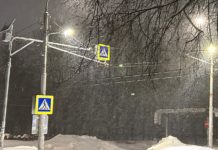 В Рязанской области прошел рейд ГАИ «Пешеход»