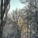 Завтра в Рязанской области ожидается выпадение мокрого снега