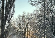 Завтра в Рязанской области ожидается выпадение мокрого снега