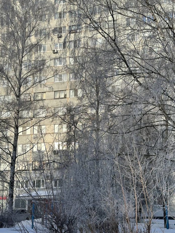 photo_2026-02-18_11-35-41