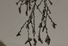 В Рязани продолжается мониторинг состояния атмосферного воздуха