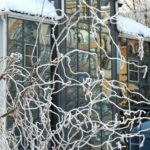 5 февраля 2026