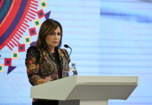 Зампред рязанского правительства Юлия Швакова расскажет о результатах и планах развития курируемых ею отраслей