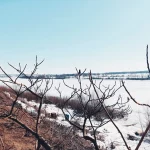 В первый весенний день в Рязанской области потеплеет до +5 градусов