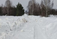 Снег растает – и вплавь?