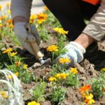 Рязанские студенты узнали о способах озеленения городских пространств