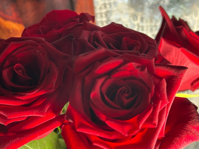 H0shk6rXF36VCLm9TPN3c7EmhNtiOy61vi_yNfgZse_ttVcd0vUOStrYUARGff-mDwKttGJyoa7GdUD8TFbvmSvX