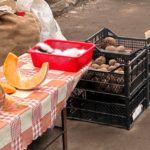 Полторы тонны овощей купили рязанцы в субботу на ярмарках выходного дня