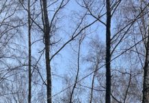 В Рязани зафиксировали превышение допустимой концентрации диоксида серы и азота в воздухе