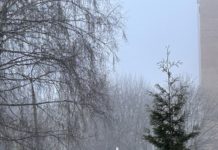 Минприроды Рязанской области предупредило о риске накопления загрязняющих веществ в воздухе