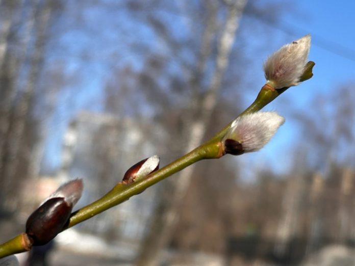 VppHF-xV-RZQ1So--LSvoKd3pR3syzzplvQkVkqWNgp0kKBE_hIzRysKaJXffEKEPgjEpACMr7ipeEJiy1LsFJFQ