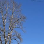 В Рязани зафиксировали превышение сероводорода в воздухе