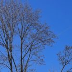 Вредные выбросы зафиксировали в ходе мониторинга воздуха в Рязани