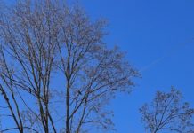 Вредные выбросы зафиксировали в ходе мониторинга воздуха в Рязани