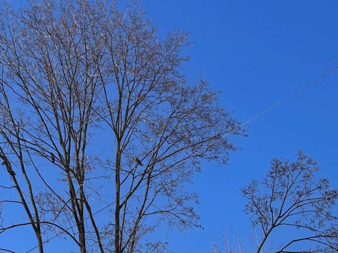 _dKtwWY2xGQp7EtYIq18ngeOsKqWyc4lxG38APClzieHS-zAdoDDYHI3x5u7zbkRBZ_pJkke-v1Mf2RT0BPRRu1Q