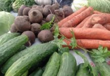 В Рязани за незаконную торговлю с начала года привлечены 368 нарушителей