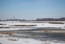 Ночью в Рязанской области сохраняются минусовые температуры, а днем – до +9°С