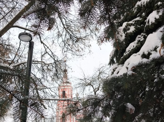 Зимний городской сквер_ели_храм