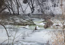 За сутки уровень воды в Оке в черте Рязани повысился на 37 сантиметров