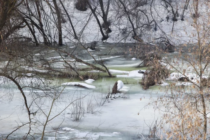 Река весной_половодье_Волкова