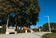 Рязанцы могут предложить городские территории для благоустройства