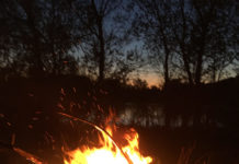 Кто виноват и что делать?