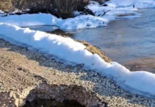 Дорожный вопрос