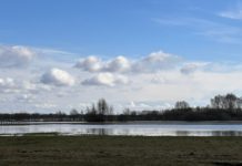 В Рязанской области половодье идет на спад