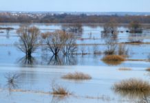 В Рязанской области от воды освободились 2 низководных моста