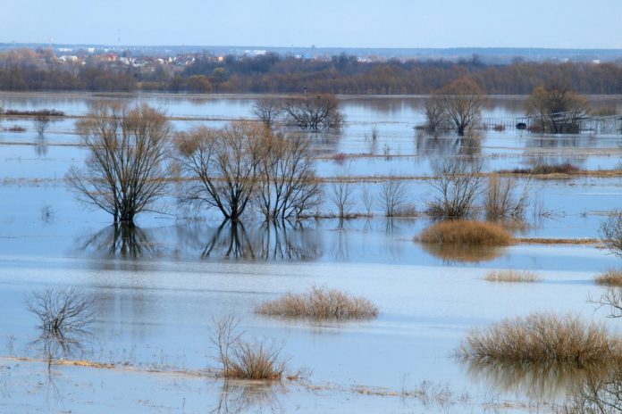 IuXKm5vMEadhb9WlfZ9sA6_OHToWBoMPNnoKLfv7naagLRuWR1DJrn7fLGUlabVNAmqhl3s60aRe3ESNsAv4xGkF