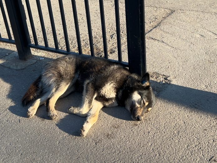 Lzx00gMyTdgBTFI3mpOHjK3snKhXenpMvqjaUpRYPOLAep7O8RR35DUhG3KwBemUz0zV-j-ni5LzKehbjFMp4KkI