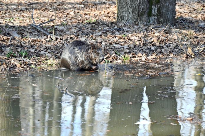 PxMk0W9atQe8ELLe842UeC9VPVl2hg1f-LLQFNry-bKInDRm7EOkJBMSiGy-0Xx5oVq1wG-eQulI2IBHPI0sUwcY