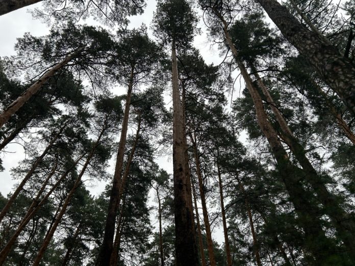 UkpDR67zyjtmFWQChYVZGILaftXK3J1DCzdqr88ZwhtSEusGyYVtBCff4hFFLedxGnd0b3V_vJggVlWfRYzih8tI