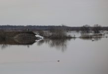 За сутки в черте Рязани уровень воды понизился на 14 сантиметров