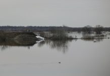 На сегодняшний день в Рязанской области половодьем отрезаны от «большой земли» 14 населенных пунктов