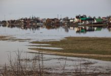 Река Ока в Рязанской области продолжает прибывать