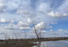 В Рязанской области продолжается половодье