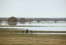 В Рязанской области в одних реках вода прибывает, в других – убывает