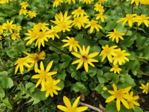 17 апреля 2026