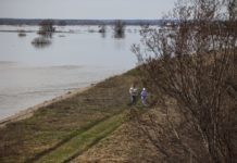 В черте Рязани в Оке уровень воды за сутки повысился на 16 сантиметров